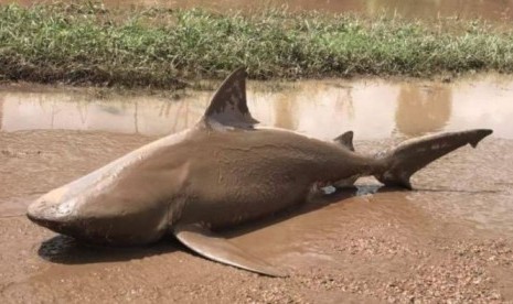 Otoritas setempat memeringatkan warga untuk tak masuk ke dalam air banjir.