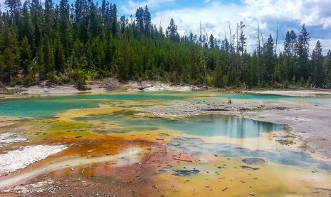 Pada 1 Maret 1872 Yellowstone di Amerika Serikat menjadi taman nasional pertama di dunia. 