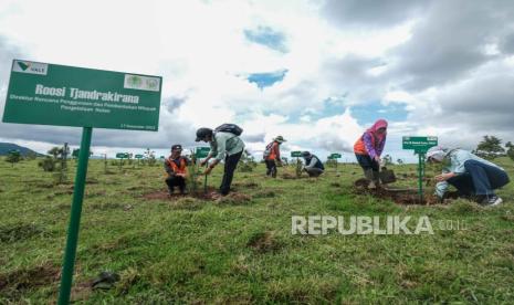 Pada 2024, PT Vale berhasil merehabilitasi 14.230 hektare DAS yang tersebar di 17 kabupaten, termasuk Barru, Bone, Gowa, Luwu Timur, dan Toraja Utara. Tercatat sebanyak 9,5 juta pohon dari berbagai jenis telah ditanam.