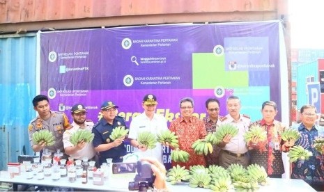 Pada  (24/8) dilakukan ekspor sebanyak 10 ton buah pisang kepok dilakukan PT. Royal Mehar Company dengan tujuan Malaysia.