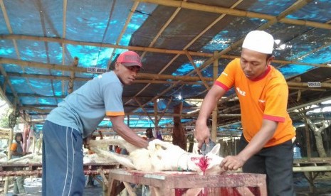 Pada hari pertama penyembelihan, Ahad (11/8) Rumah Zakat telah menyembelih 264 ekor sapi dan 1.050 kambing.