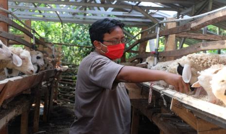 Pada Kamis (18/6), Dompet Dhuafa bersama Tanihub dan TaniFund melakukan kunjungan ke Peternakan Terate Jaya.