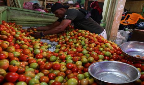 Harga Tomat Mendadak Melonjak, Ini Penyebabnya (ilustrasi).