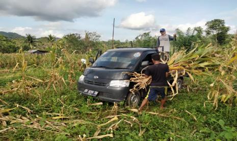 Pakan ternak merupakan salah satu aspek penting dalam usaha peternakan. Melalui pakan yang cukup, manajemen pakan yang baik, dan formulasi yang tepat akan mendukung tumbuh kembang dari ternak. Sehingga hal tersebut meningkatkan keuntungan dari program peternakan yang dijalankan.