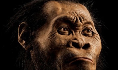 Paleoartis (seniman yang berusaha menggambarkan zaman prasejarah), John Gurche, menghabiskan 700 jam untuk merekonstruksi kepala Homo Naledi yang ditemukan di gua pedalaman di Afrika Selatan, dengan menggunakan pemindai tulang. 