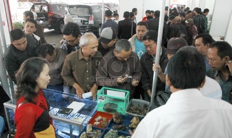  Pameran bau akik. Ilustrasi