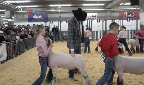 Pameran tahunan National Western Stock Show yang dihadiri ribuan pengunjung punya kiat memikat anak dan remaja ke dunia pertanian-peternakan lewat berbagai aktivitas menarik.