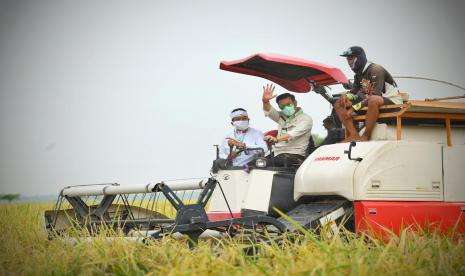 Pandemi Covid-19 dan kebijakan Pembatasan Sosial Berskala Besar (PSBB) berdampak terhadap aktivitas perekonomian nasional, termasuk sektor pertanian. Jalur distribusi dan rantai pasok pangan mengalami gangguan terlebih ketika memasuki bulan Ramadhan dan Idul Fitri saat permintaan beberapa bahan pangan meningkat dan harganya melonjak.