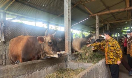 Pandemi Covid-19 membawa dampak di berbagai sektor kehidupan, terutama ekonomi. Banyak masyarakat terkena pemutusan hubungan kerja dan kehilangan sumber penghasilan. Tidak hanya di perkotaan, dampak pandemi ini juga dirasakan warga pedesaan. Alih-alih mengeluh, Kelompok Kerja Penyuluh Agama Islam Kementerian Agama Kabupaten Klaten justru menyikapi fenomena ini dengan inovasi bimbingan dan penyuluhan (Bimluh).