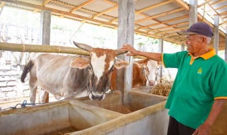 Pandemi Covid-19 yang belum mereda telah mendorong sejumlah lembaga amil zakat menawarkan pembelian hewan qurban secara online. Selain lebih aman dan praktis, berqurban di masa pandemi ini akan memberikan manfaat lebih besar bagi mereka yang berhak menerimanya. 