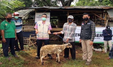 Pandemi Covid-19 yang berkepanjangan telah merubah tatanan ekonomi masyarakat bawah. Kian hari kian terpuruk, namun ada sejumlah sektor yang dapat meraih untung di tengah pandemi, seperti sektor peternakan dengan daya dukung zakat produktif. 