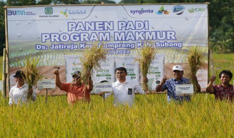 Panen padi di Kecamatan Compreng, Subang, Jawa Barat. 