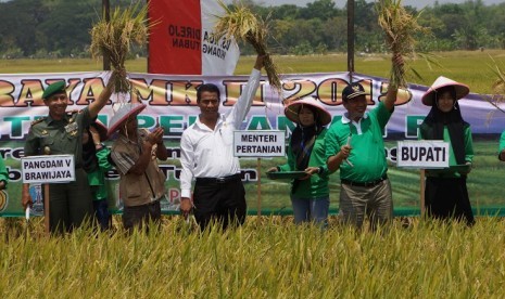 Panen padi di Tuban, Rabu (30/9).