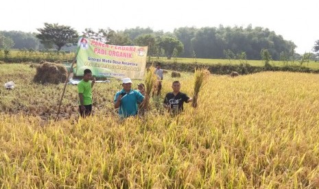 Panen perdana padi organik di Desa Kaligerman, Kecamatan Karanggeneng, Kabupaten Lamongan Jawa Timur.