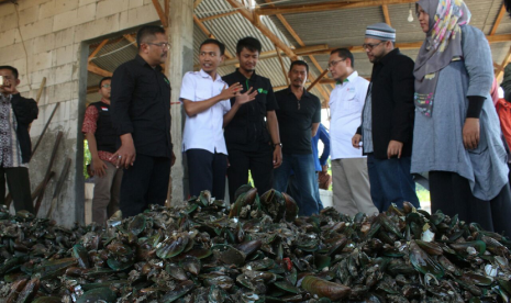 Panen Raya dan peresmian Rumah Kupas Kerang oleh Dompet Dhuafa bekerja sama dengan BNI Syariah.