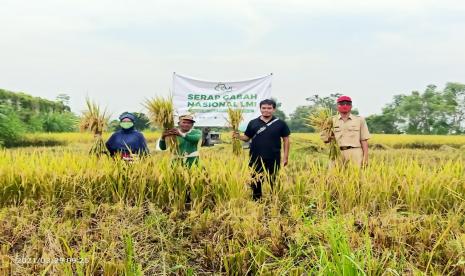 Panen raya di Dusun Kasurejo Desa Gunungsari Kec Beji Kab Pasuruan, Senin (29/3).