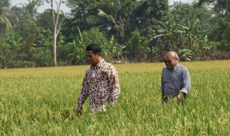 panen raya di kabupaten Karawang, Jumat (25/9).