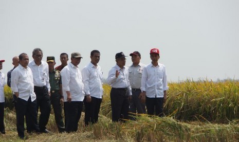 panen raya di Karwang, Ahad (27/9)