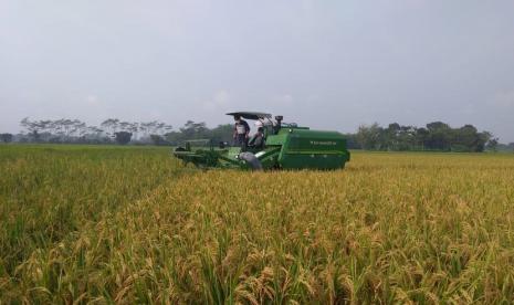 Panen raya di Provinsi Kalimantan Barat. Panen raya padi ini dilaksanakan di 14 kabupaten/kota yakni kabupaten Sambas, Bengkayang, Landak, Mempawah, Sanggau, Ketapang, Sintang, Kapuas Hulu, Sekadau, Melawi, Kayong Utara, Kubu Raya, Kota Pontianak dan kota Singkawang.