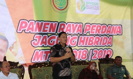 Panen raya jagung di Kabupaten Gunungkidul, Yogyakarta.