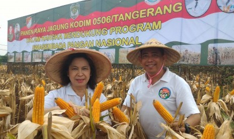 Panen raya jagung hasil kerja sama petani dan TNI AD di Jalan Rawa Kutuk Kelurahan Pondok Jagung Timur, Kecamatan Serpong Utara, Tangerang Selatan, Sabtu lalu (14/5).