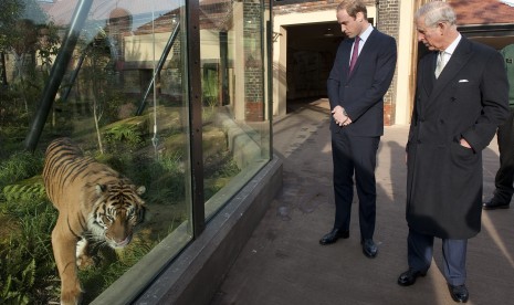 Pangeran Charles dan Pangeran William melihat macan di Kebun Binatang London, Inggris.