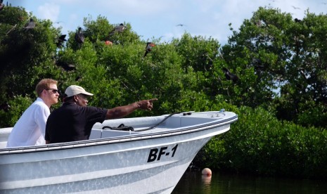 Pangeran Harry bersama Perdana Menteri Karibia, Gaston Brown menikmati suasana suaka burung The Frigate Bird Sanctuary