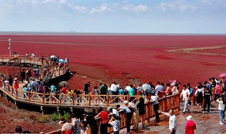 Panjin Red Beach di Cina