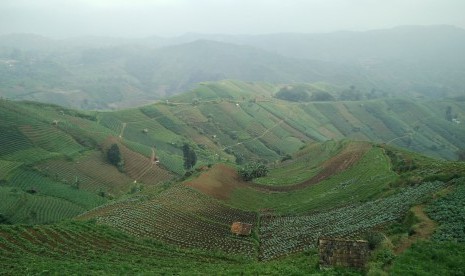 Panorama alam Terasering Panyaweuyan