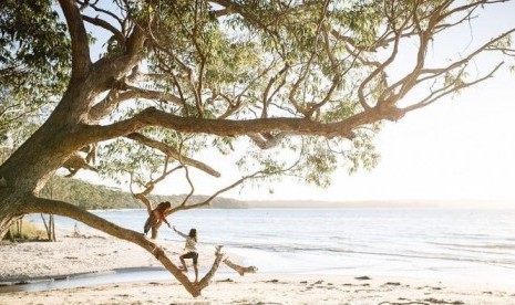 Pantai Hole in the Wall Beach dekat Jervis Bay. 