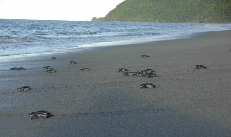 Pantai Jeen Womom.