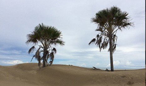 Pantai Oetune.