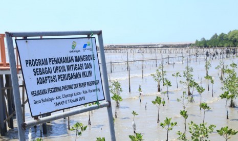 PANTAI PASIR PUTIH, Sejumlah masyarakat sedang bermain dan berfoto di Taman Mangroove di Pantai Pasir Putih, Karawang, Jawa Barat, Selasa (13/8). Taman Mangroove ini salah satu program unggulan Corporate Social Responsibility (CSR) Pertamina Hulu Energi Offshore North West Java (PHE ONWJ) diwilayah pesisir Subang dan Karawang.