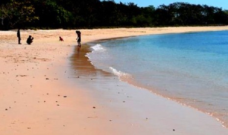 Pantai pink juga ada di Lombok