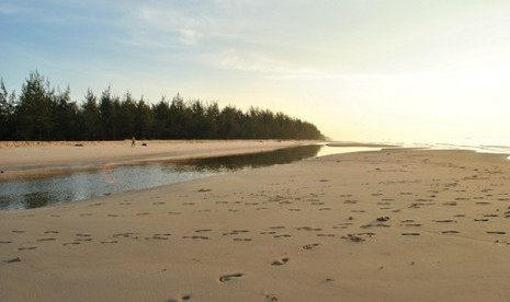 Pantai Sungai Bakau