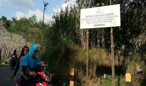 Papan yang dibuat KAN Jabung tentang desa yang dihuni peternak sapi perah yang kini memanfaatkan biogas.