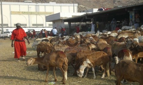 Mengenal Dam dan Jenisnya Saat Ibadah Haji. Foto: Para pedagang kambing di pasar di wilayah Kakiyah, selatan Makkah, mulai didatangi jamaah haji. Jamaah yang melaksanakan haji tamattu