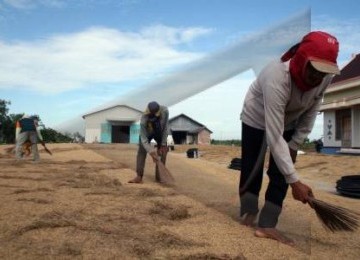 Para pekerja di sebuah penggilingan gabah menjemur dan membersihkan gabah kering.