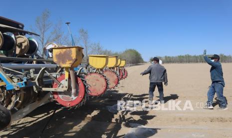 Para pekerja mengontrol pergerakan mesin penebar bibit kapas di areal perkebunan kapas di Prefektur Changji, Daerah Otonomi Xinjiang, China, Rabu (21/4/2021). Xinjiang diguncang isu kerja paksa terhadap etnis minoritas Muslim Uighur di perkebunan kapas, namun dibantah karena semua proses dikerjakan dengan mesin. Parlemen AS mengesahkan undang-undang untuk melarang impor dari Xinjiang, China.