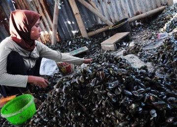 Para pekerja mengupas kulit kerang hijau di Muara Karang, Jakarta Utara, Rabu (26/10). (Republika/Aditya Pradana Putra)