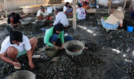 Para pekerja mengupas kulit kerang hijau di Muara Karang, Jakarta Utara, Rabu (26/10). (Republika/Aditya Pradana Putra)