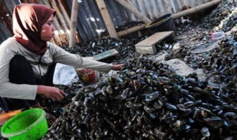 Para pekerja mengupas kulit kerang hijau di Muara Karang, Jakarta Utara, Rabu (26/10). (Republika/Aditya Pradana Putra)