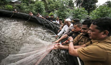 Para pengelola koperasi bersama dari unsur Muspika memanen udang vaname hasil panen di lokasi percontohan Desa Uteun Bayi, Lhokseumawe, Aceh, Selasa (18/10/2022). 