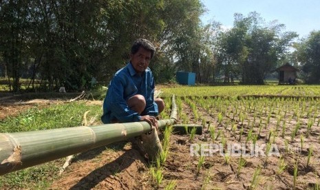 Para petani di Kampung Sukasirna, Dusun Cireundeu, Desa Manggungsari, Kecamatan Rajapolah, Kabupaten Tasikmalaya, membuat kincir air untuk mengairi areal persawahan yang mulai mengamali kekeringan, Selasa (9/7/2019).