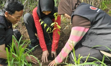 Penanaman pohon di lereng Gunung Ungaran, (ilustrasi).