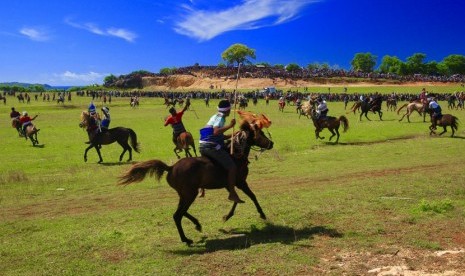 Sandalwood horse parade. 