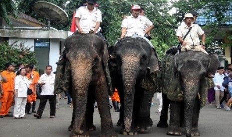 Parade Gajah