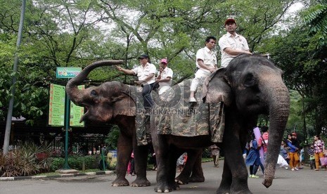 Parade Satwa Ragunan