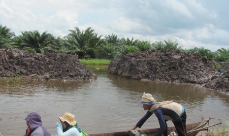 Parit dibendung agar air dari luar tidak masuk ke kebun petani, sementara air di parit yang sudah masuk ke kebun petani dialirkan ke kebun sawit dengan cara membedah parit, seperti terlihat di gambar.