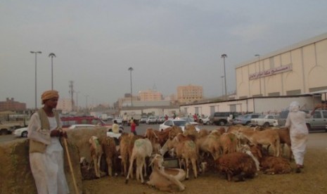 Pasar hewan Kakiyah di Makkah yang menjual kambing untuk dam.